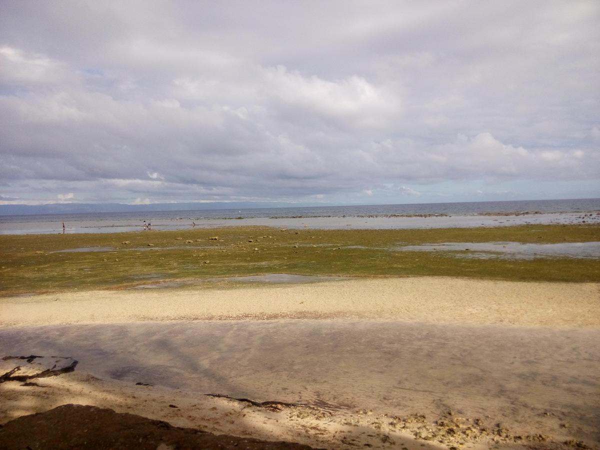 La Villa Alta Siquijor Kültér fotó